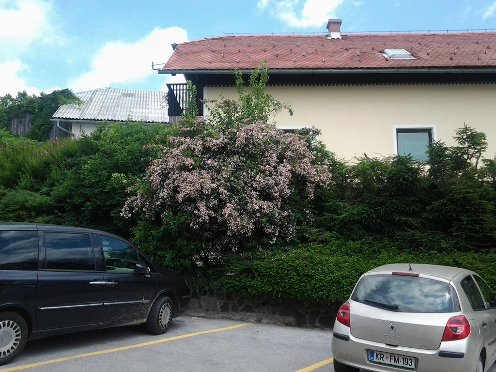 Hotel Tourist Farm Pacnik Resnik Zewnętrze zdjęcie